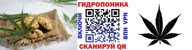 площадка наркотические препараты  Никольск  Cannafood марихуана 
